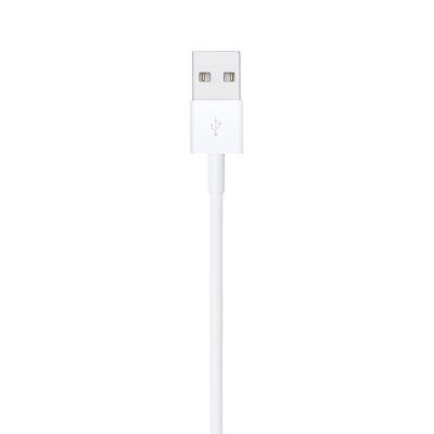 CABLE LIGHTNING VERS  USB (1 m)